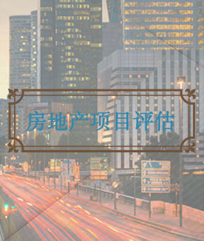 河北房地产项目评估