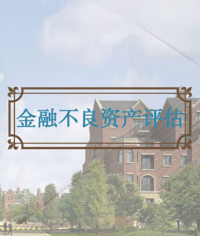 河北金融不良资产评估